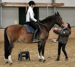 picture: Centered Riding clinics